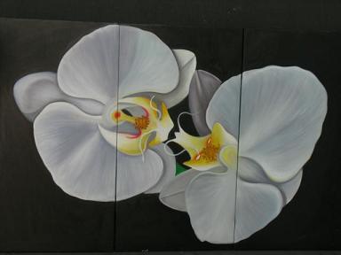 Dafen Oil Painting on canvas white flower -set005 Dafen Oil Painting on canvas white flower -set005